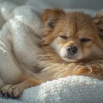 Cahaya Redup dan Plaid Hangat di Malam Hari: Ritual yang Membuat Penutup Hari Terasa Lebih Cozy